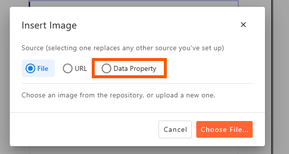 Insert image file choice