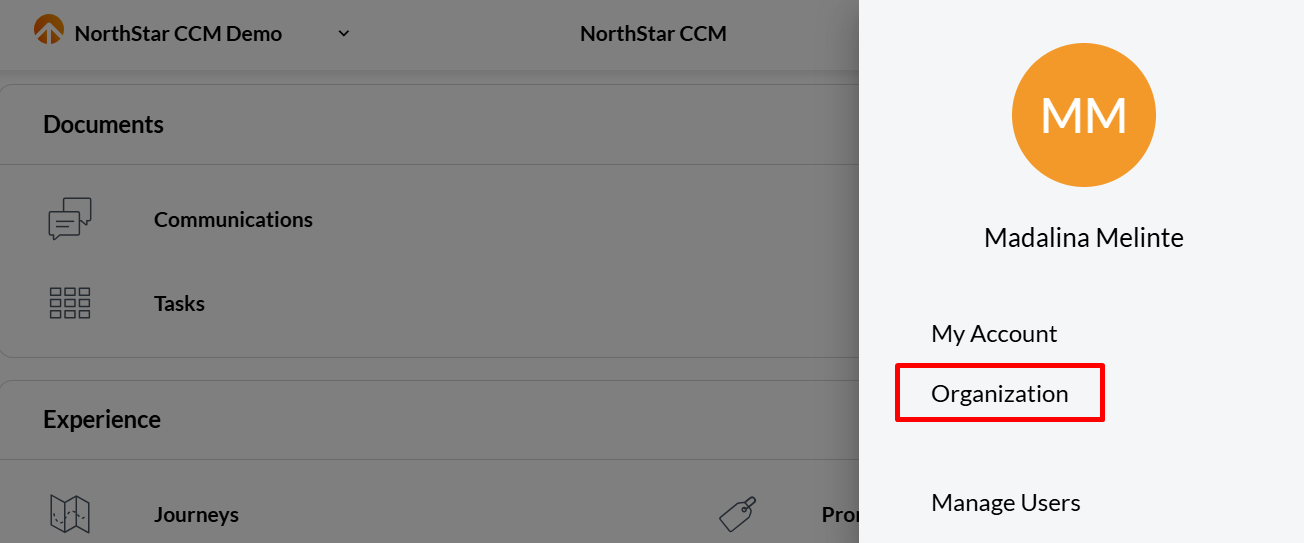 User menu with Organization highlighted